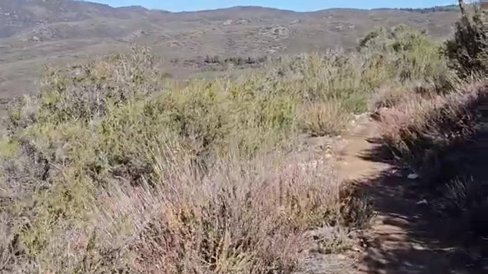 Day 4 on the Pacific Crest Trail. (1)